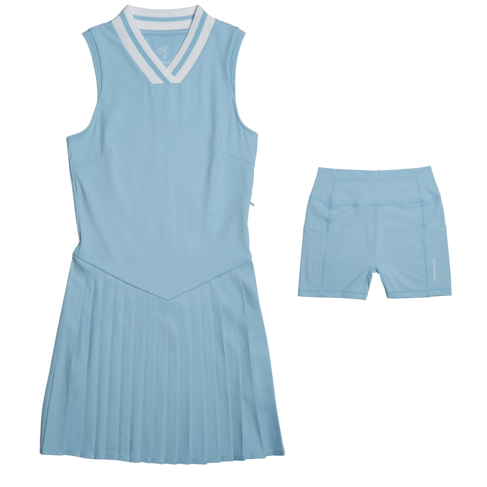 Florence V-Waist Pleated Dress
